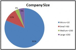 Size Graphy of Company Size Statistics